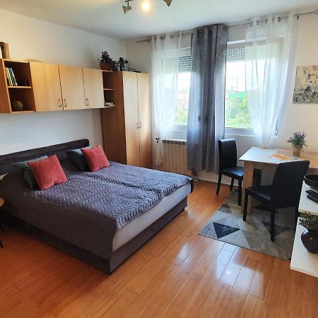 Apartman 64 - Besplatan Parking Za Goste Novi Sad Dış mekan fotoğraf