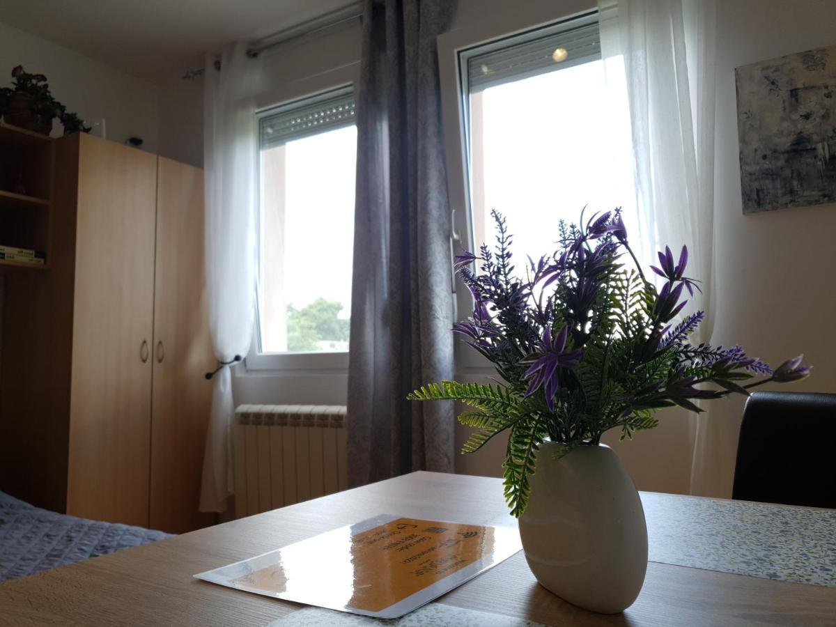 Apartman 64 - Besplatan Parking Za Goste Novi Sad Dış mekan fotoğraf