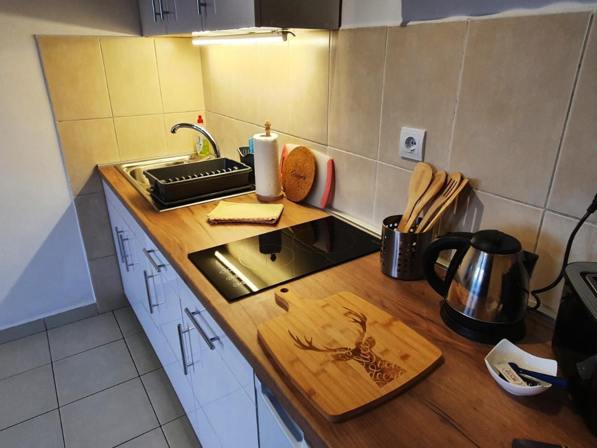 Apartman 64 - Besplatan Parking Za Goste Novi Sad Dış mekan fotoğraf