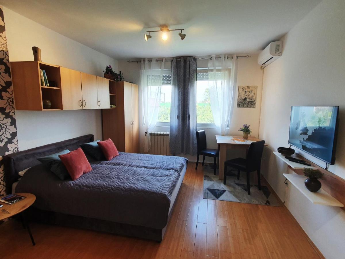 Apartman 64 - Besplatan Parking Za Goste Novi Sad Dış mekan fotoğraf