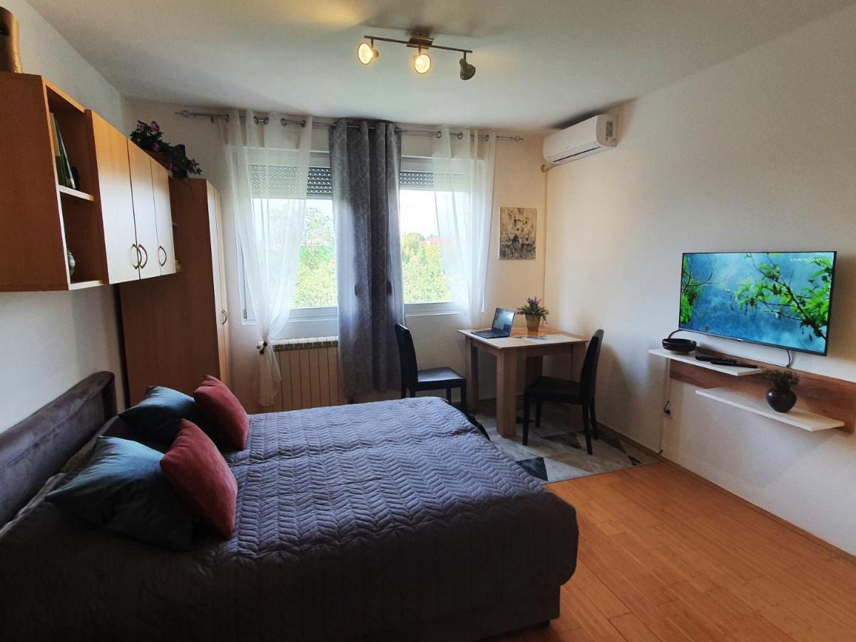 Apartman 64 - Besplatan Parking Za Goste Novi Sad Dış mekan fotoğraf